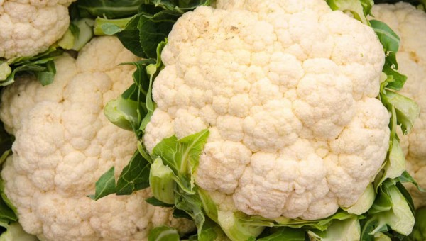 Απίστευτα τα οφέλη του ανθρώπινου οργανισμού από το κουνουπίδι: Γιατί χρειάζεται προσοχή στην υπερβολική κατανάλωση