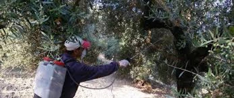 Ενημέρωση για την Δακοκτονία απο την Διεύθυνση Αγροτικής Οικονομίας &amp; Κτηνιατρικής της Π.Ε. Αιτωλ/νιας