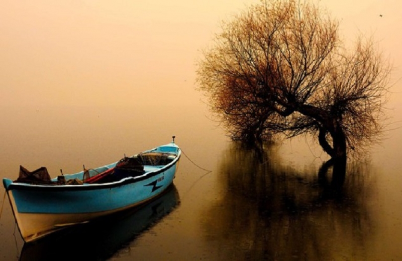 Κίνδυνος για τους οικότοπους και την βιοποικιλότητα