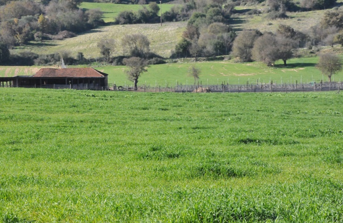 Πράσινη Ενίσχυση: όσα ισχύουν το 2022