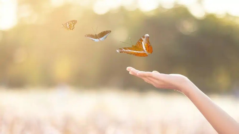 Ειδικός σε θέματα ευτυχίας εξηγεί: Αυτό είναι το μυστικό για μια εύκολη και επιτυχημένη ζωή