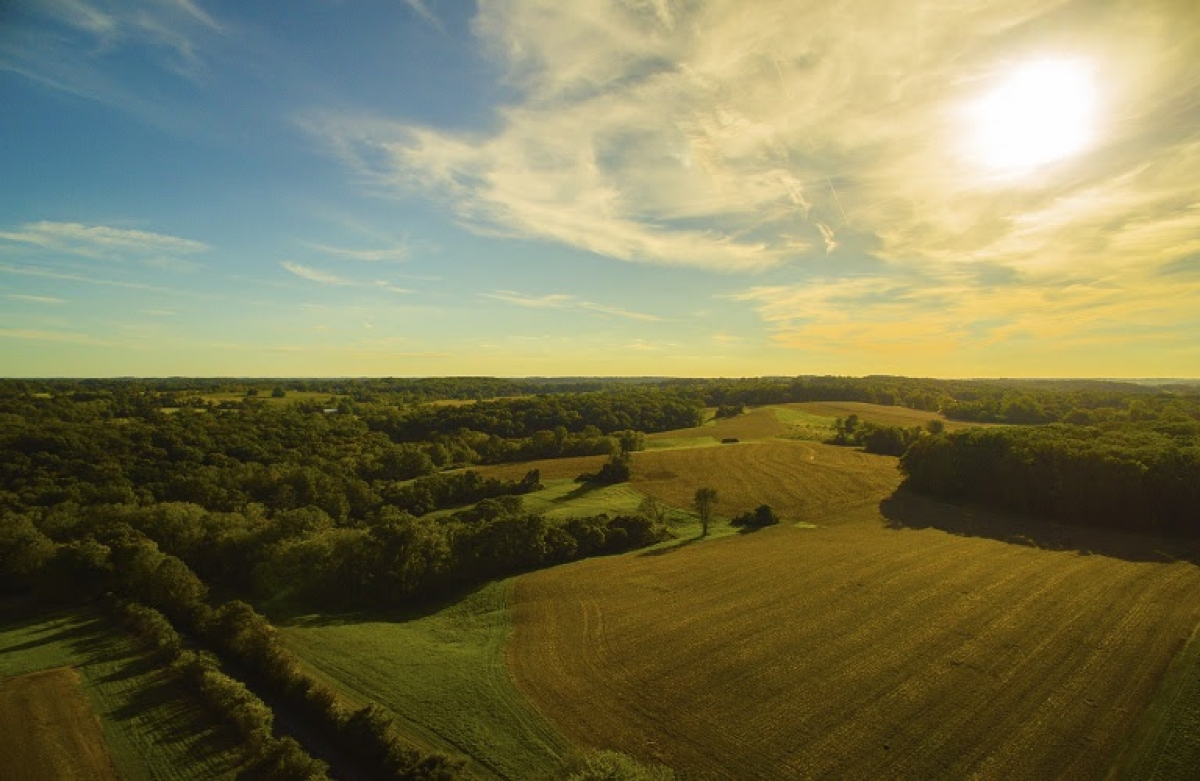 Οι τιμές σε γεωργία – κτηνοτροφία: Ιούλιος 2021