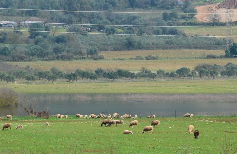Ολοκληρώθηκε η αξιολόγηση για την απονιτροποίηση