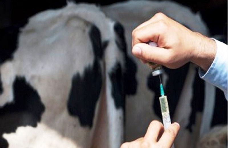 Κατηγοριοποίηση των αντιβιοτικών για χρήση σε ζώα