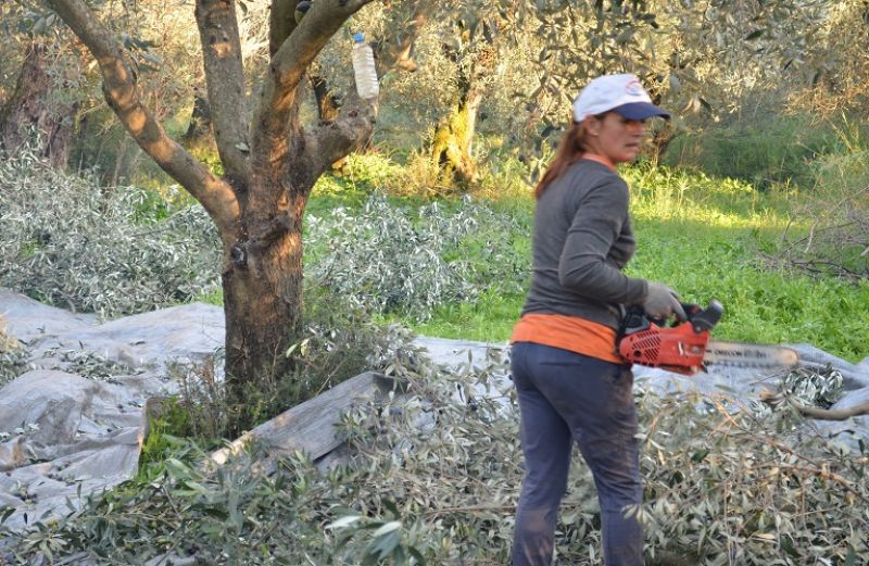 Την Παρασκευή η καταβολή του χρηματικού βοηθήματος στις πολύτεκνες αγρότισσες