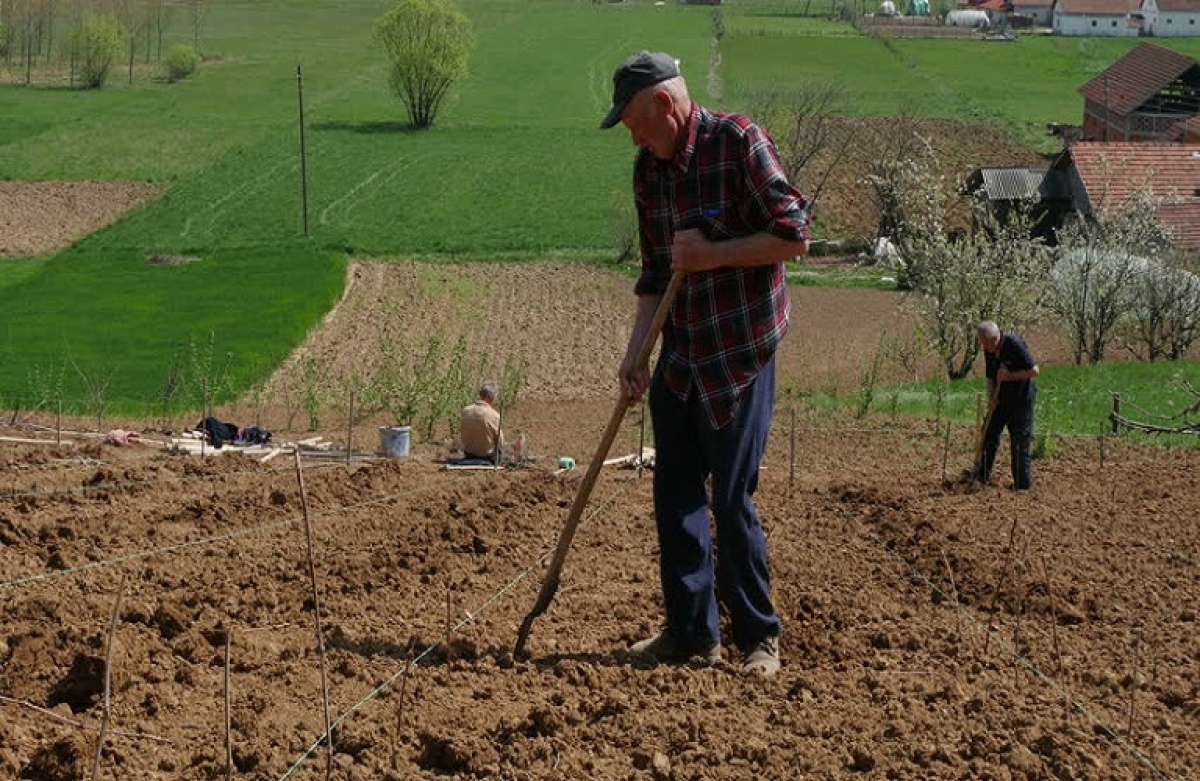 Αγροτικές συντάξεις: Διευκρινίσεις για τα ισχύοντα δικαιολογητικά