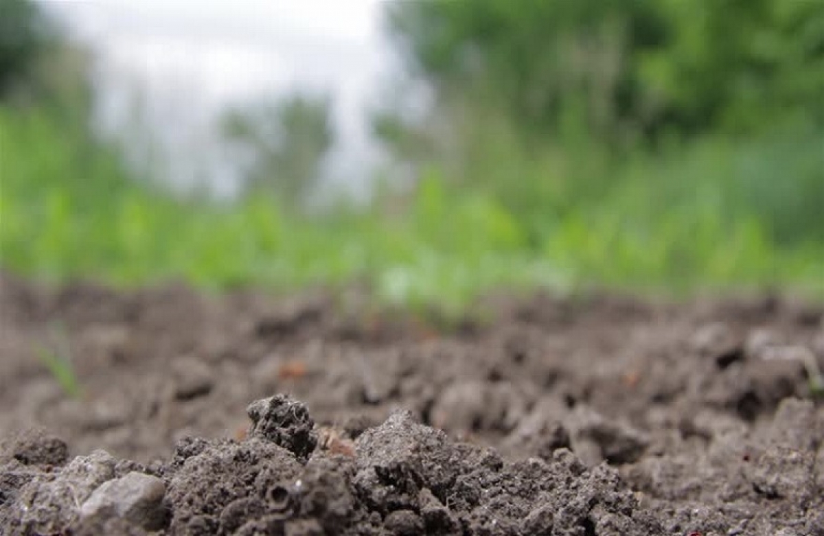 Έδαφος και παραγωγή τροφίμων