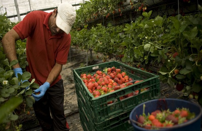 Kαλύτερη προστασία των διασυνοριακών, εποχικών εργαζομένων