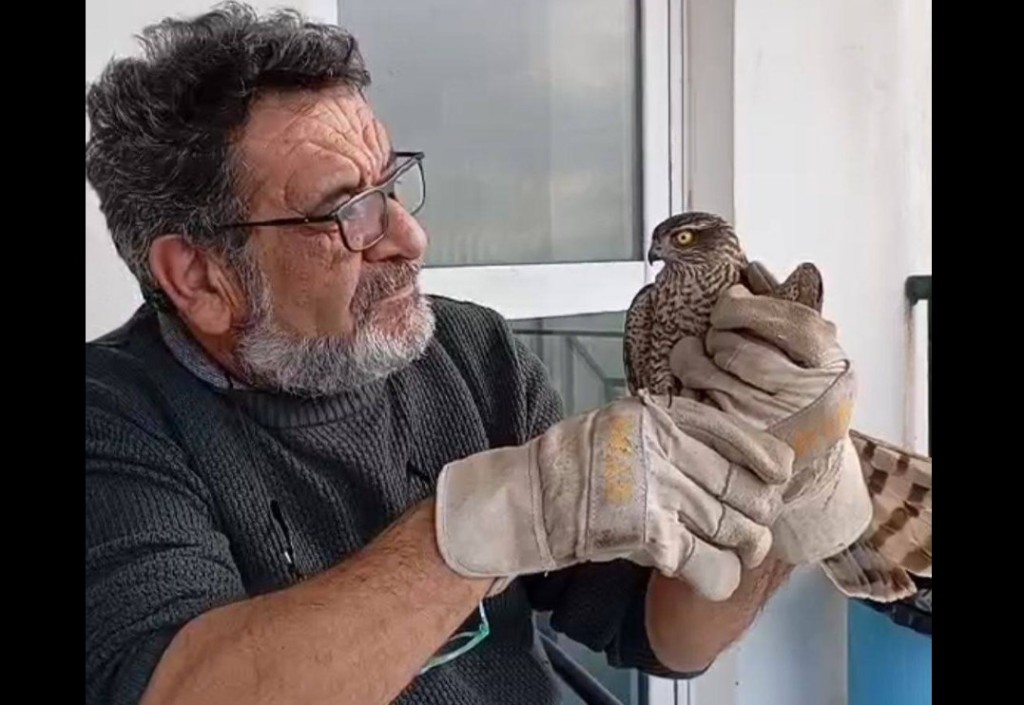 Ο δάσκαλος Στέλιος Φούντας μας συστήνει τον Φώτη, το ξεφτέρι – video