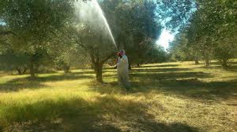 Ενημέρωση απο την Διεύθ. Αγροτικής Οικονομίας &amp; Κτηνιατρικής της Π.Ε. Αιτωλ/νιας για την Δακοκτονία