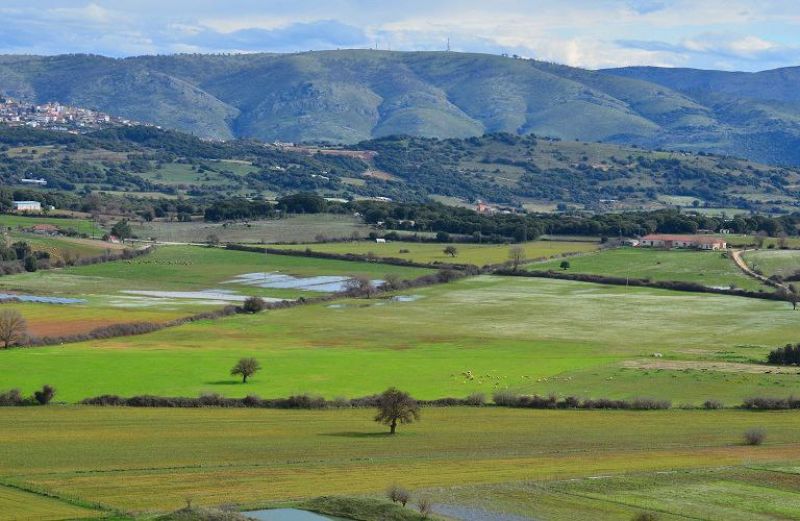 Πληρωμές για απονιτροποίηση και κομφούζιο