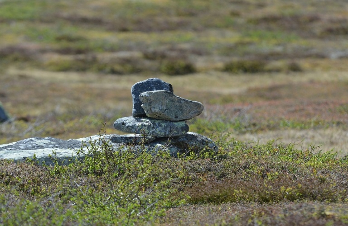 Ρήτρα καταστρατήγησης για το Εθνικό Απόθεμα