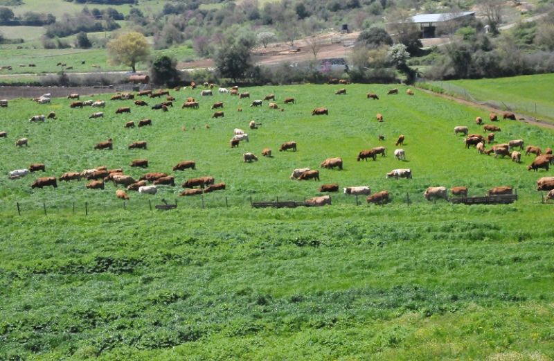 Επέκταση του πιστωτικού ορίου της «Κάρτας του Αγρότη» και με το «Πρασίνισμα»
