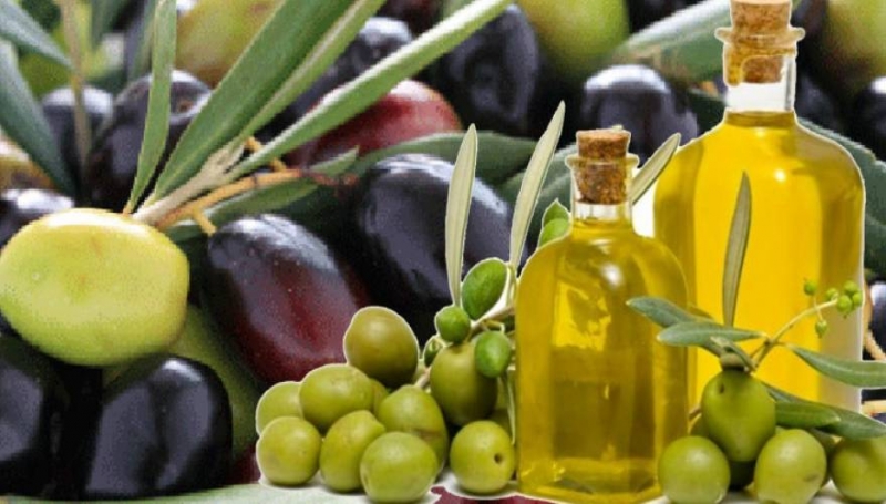 «Θεϊκό» φάρμακο οι ελιές! Δεν φαντάζεστε τα οφέλη που χαρίζουν στην υγεία μας!