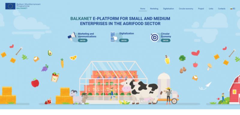 Το έργο BALKANET