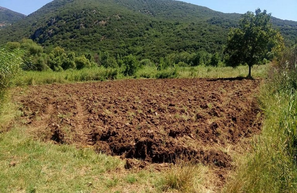 Δημοπρασία αγροτεμαχίου 23.093 τ.μ. στο κτήμα Μπαμπαλιού για αγροτουριστική μονάδα