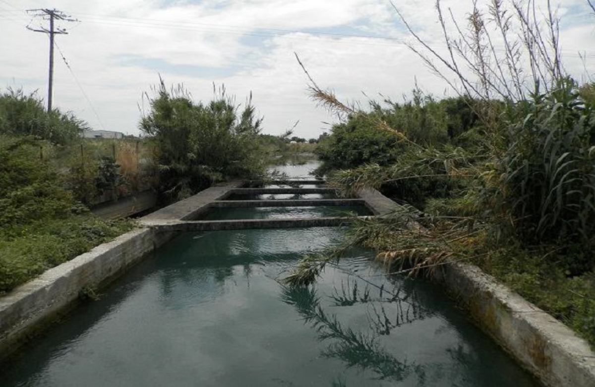 Ξεκινά εκτενής διαβούλευση για την αναδιαμόρφωση του πλαισίου λειτουργίας των ΟΕΒ