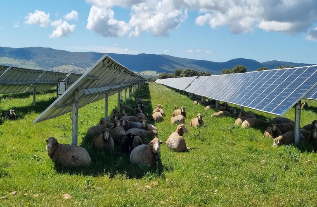 Σε διαβούλευση το ν/σ για τα Αγροτικά Επιμελητήρια, κτηνοτροφικά πάρκα, αγροφωτοβολταϊκά