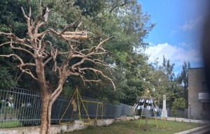 Μικροί μαθητές, μεγάλοι προστάτες της φύσης: Ταΐστρες και ποτίστρες στο 5ο Δημοτικό Αγρινίου