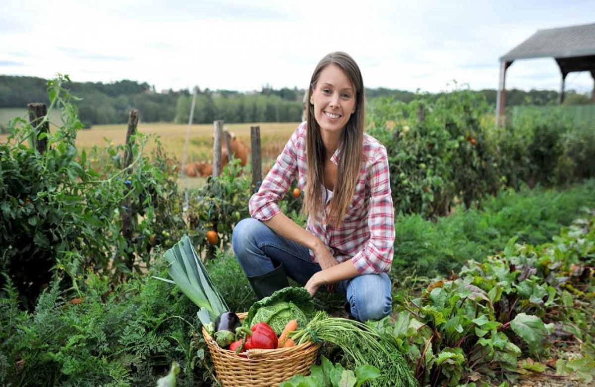Οι 90.000 νέοι αγρότες ξέρουν να καινοτομούν
