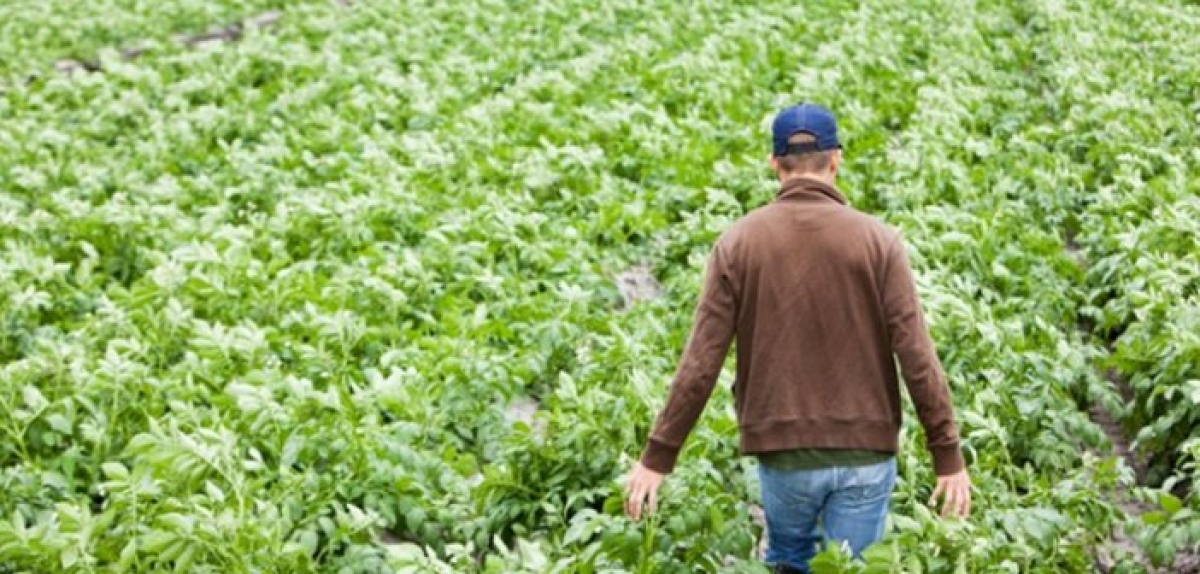 Δυτική Ελλάδα: Βγήκαν τα οριστικά αποτελέσματα για τους Νέους Αγρότες