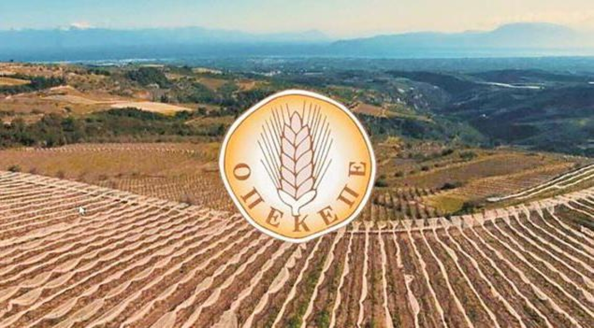 Πληρωμές ΟΠΕΚΕΠΕ – 16 εκατ. € σε 105.000 δικαιούχους