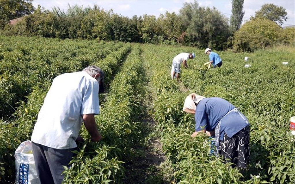 Αγρότες: Έρχεται εφαρμογή που θα «βλέπει» αν είσαι στο χωράφι με στόχο την αποτροπή ψευδών δηλώσεων στο ΟΣΔΕ