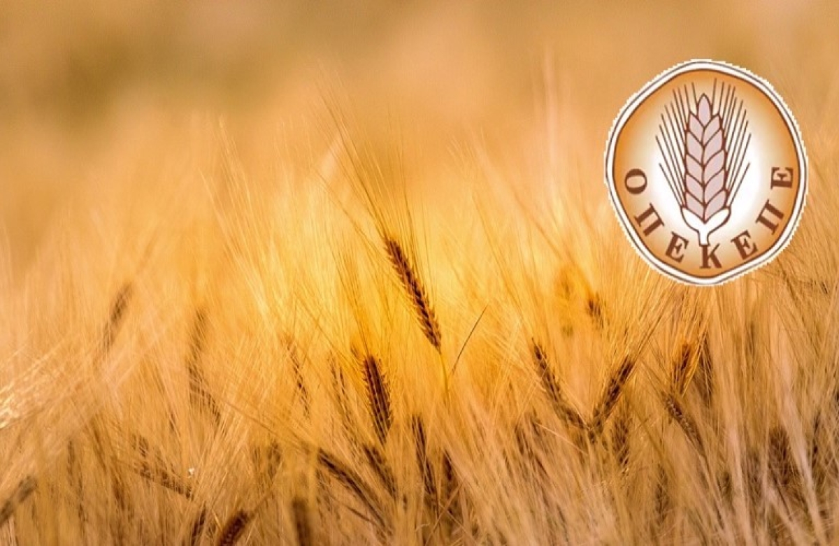 Διευκρινήσεις για τις διορθώσεις στην Ενιαία Αίτηση Ενίσχυσης 2023