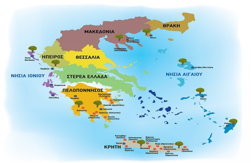 Τα ΠΟΠ και ΠΓΕ προϊόντα ελαιολάδου