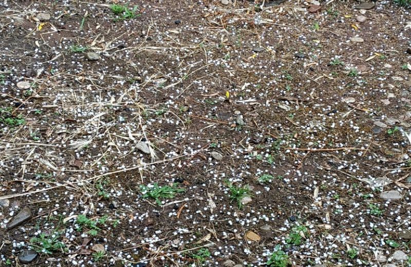 Σφοδρή χαλαζόπτωση στην Αιτωλοακαρνανία – Ζημιές στις ελιές