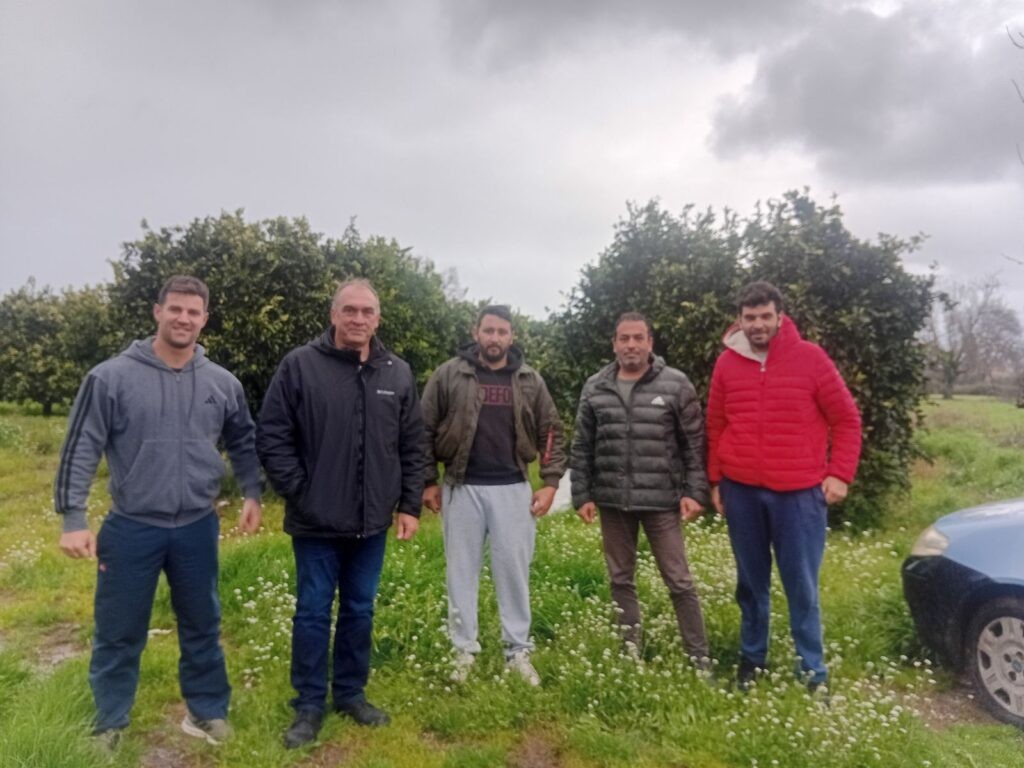 Καλύβια Αγρινίου: Μεγάλες απώλειες από τις χαμηλές τιμές στα πορτοκάλια – «Πωλείται ως πορτοκάλι Άργους»