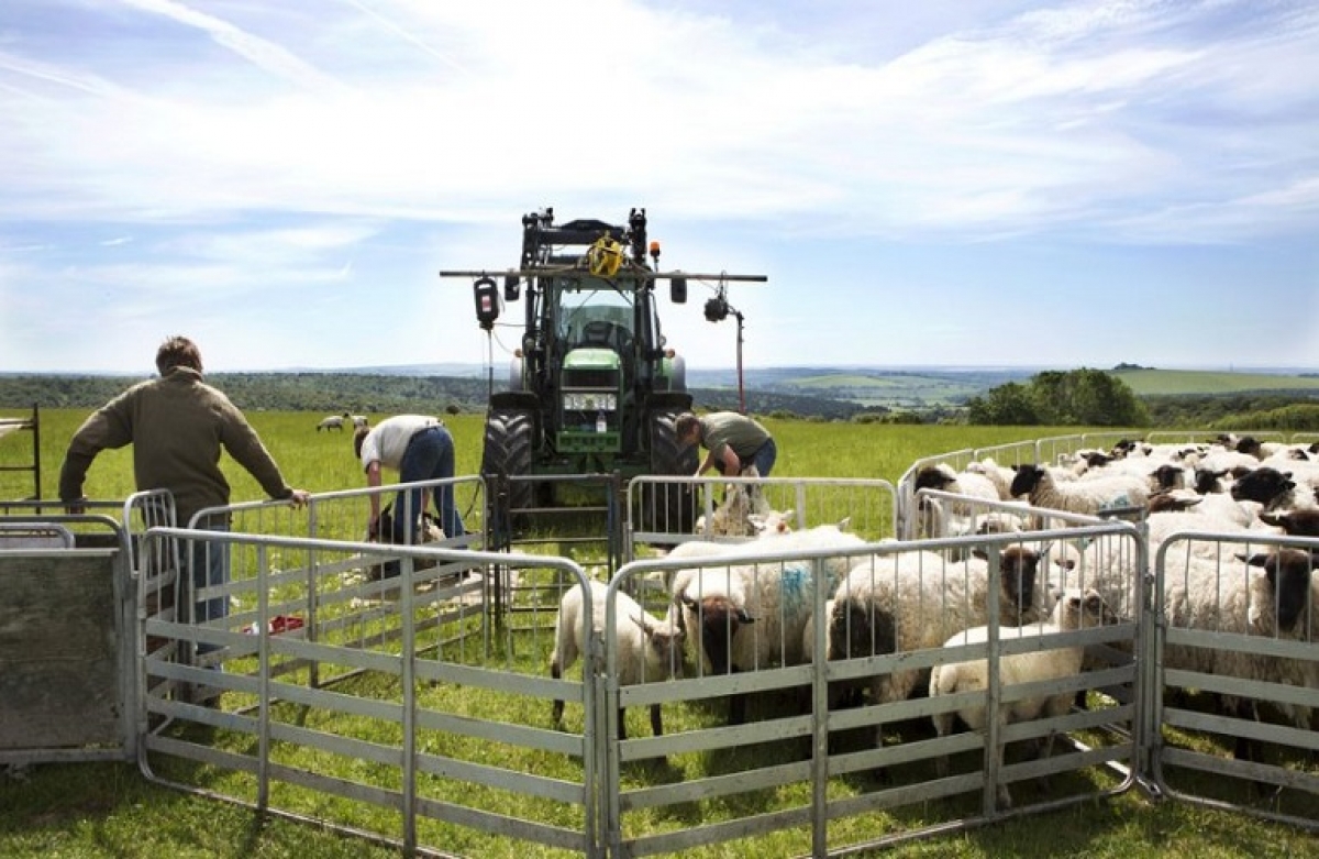 Μέτρο 9: Παρατείνεται η υποβολή αιτημάτων πληρωμής