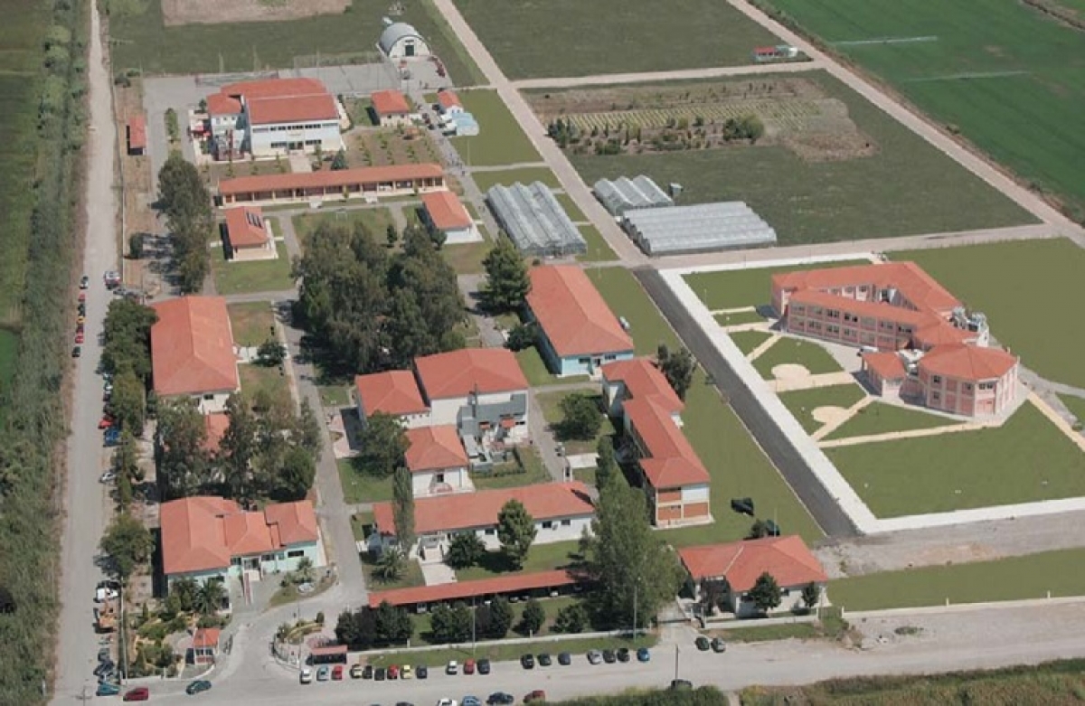 Πρόσληψη διδασκόντων στο Τμήμα Επιστήμης Φυτικής Παραγωγής