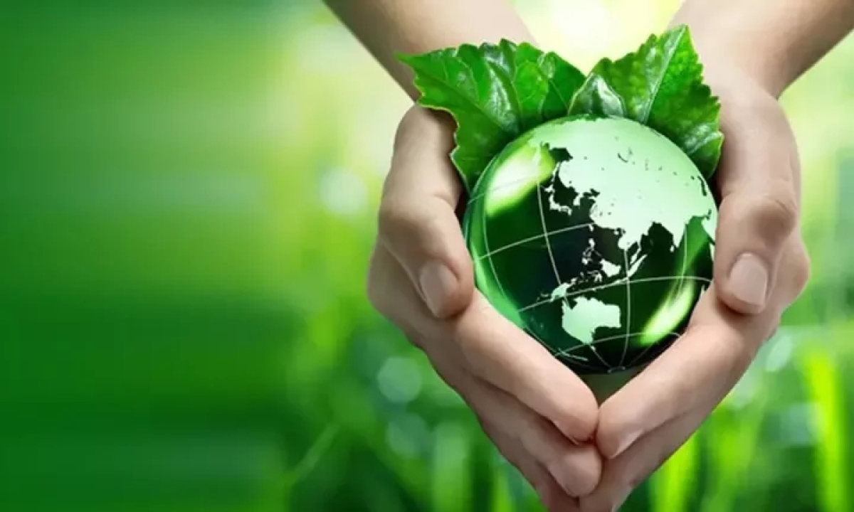 Ενοποίηση Κατηγοριών Δικαιούχων  στο υποέργο Καινοτομία και Πράσινη Μετάβαση στη Μεταποίηση Αγροτικών Προϊόντων  του Ταμείου Ανάκαμψης και Ανθεκτικότητας