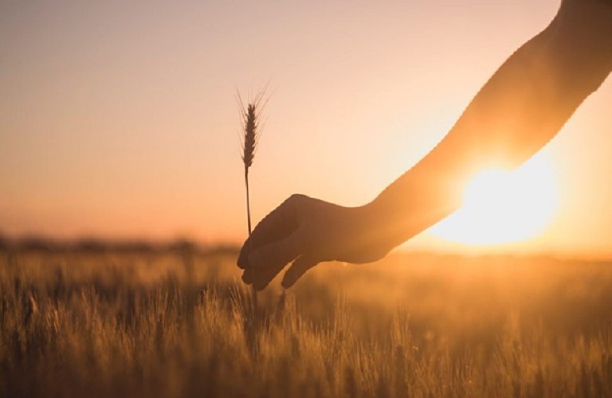 Ομάδα Εργασίας για τη διατροφική ασφάλεια της χώρας