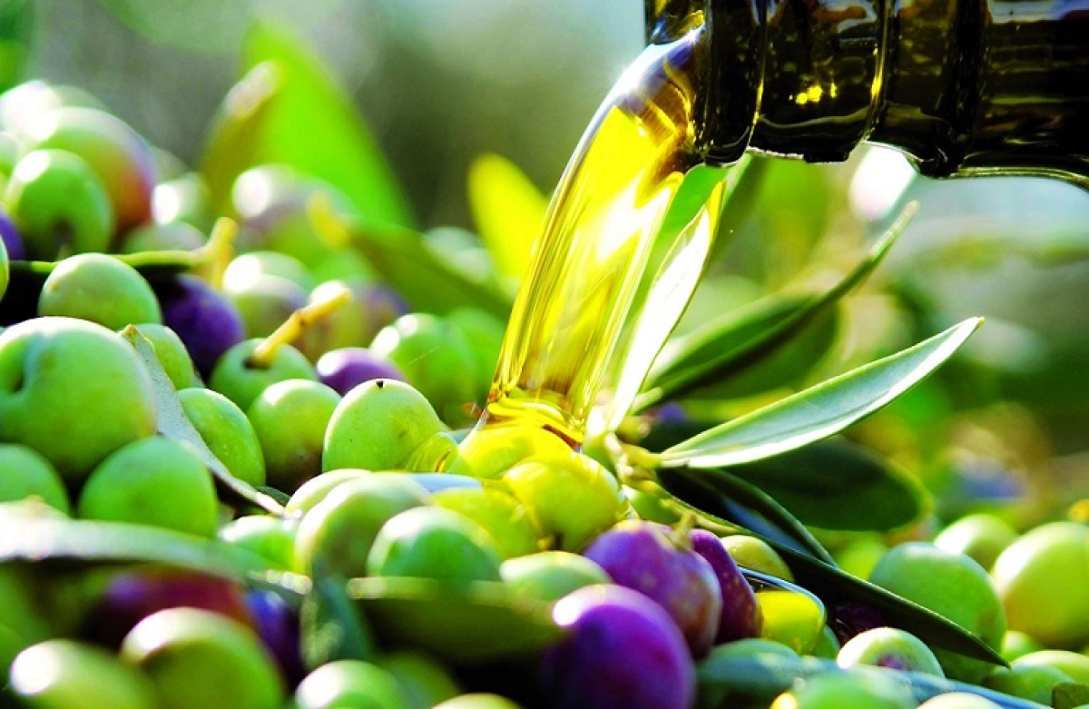 OLIVE CHALLENGE 2022: 3ος διαγωνισμός καινοτομίας και επιχειρηματικότητας