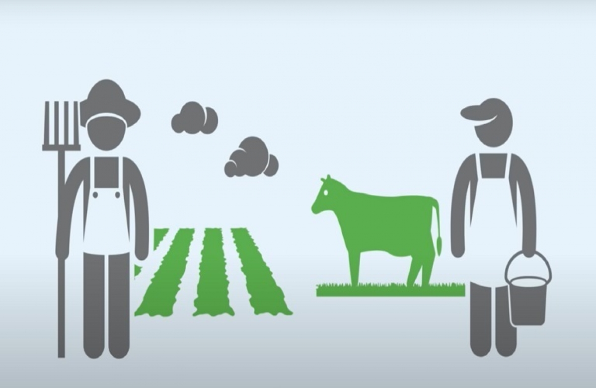 Συνεχίζεται η Απογραφή Γεωργίας  - Κτηνοτροφίας