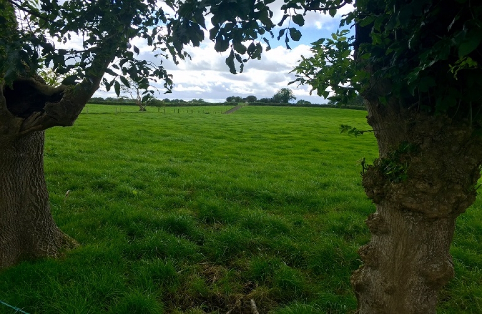 &quot;Αγροτική ατζέντα&quot; για την μετά-covid εποχή