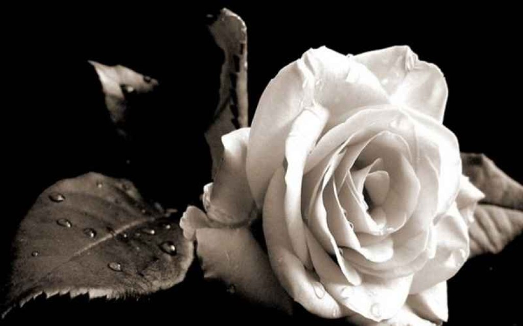 Τριαντέικα: Ακυρώνεται ο Βλάχικος Γάμος σε ένδειξη πένθους για τον Βάιο Μουτόπουλο