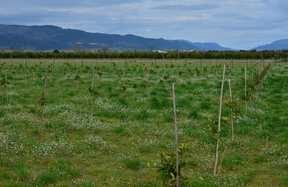Οι μεγάλες προκλήσεις του πρωτογενούς τομέα στην εποχή του κορωνοϊού