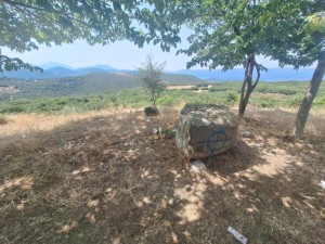Θέρμο: Το καραούλι του Μέγα Δένδρου ζητά σεβασμό, όχι σκουπίδια