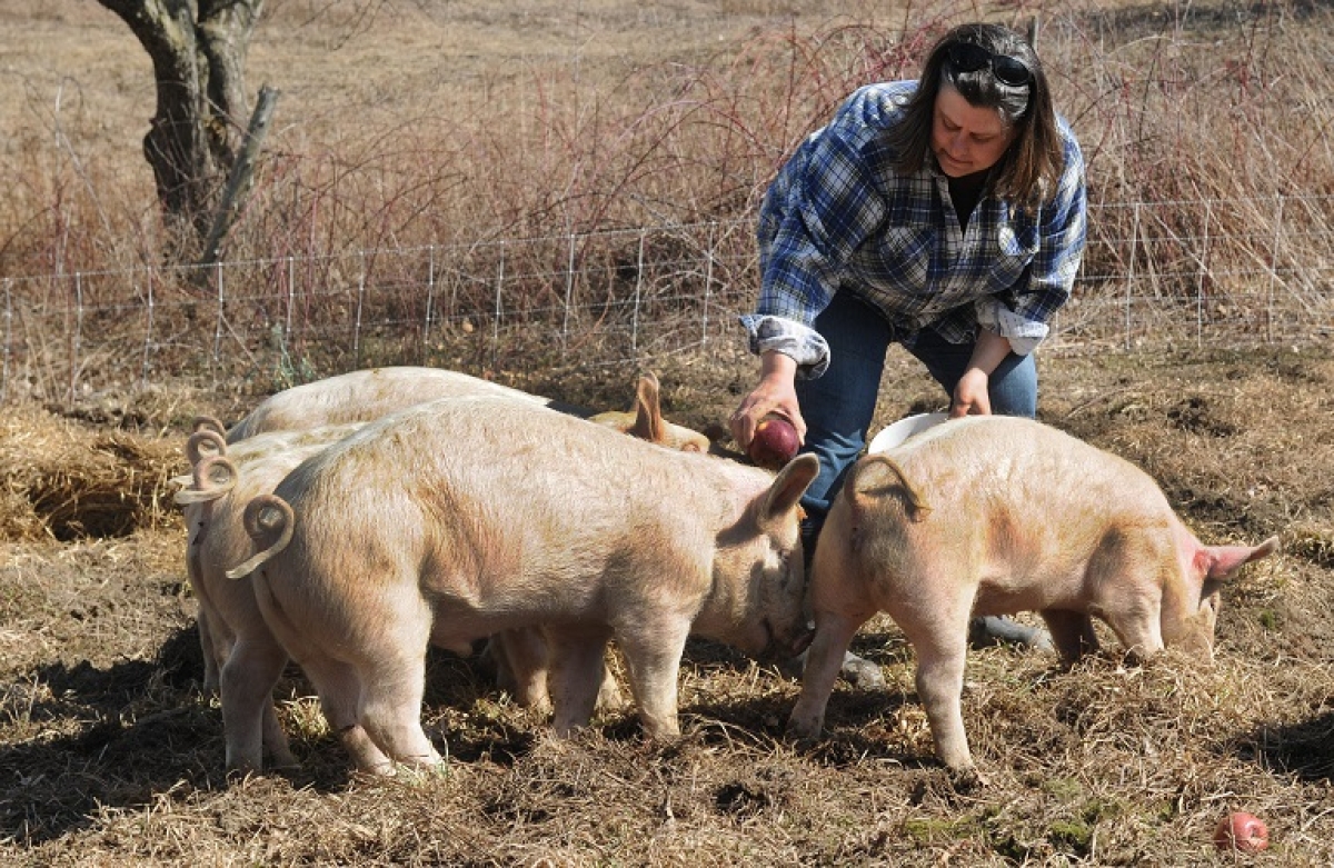Παγκόσμια Ημέρα Αγρότισσας