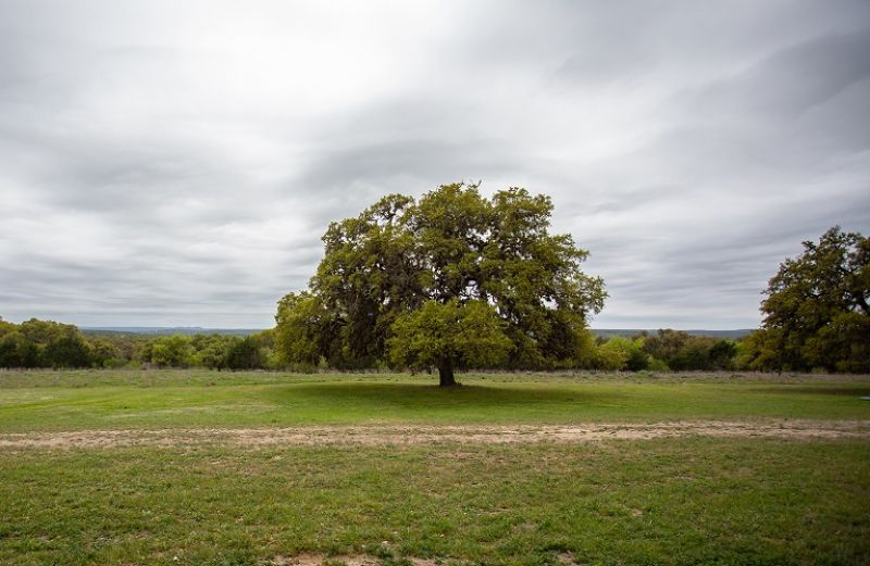 467.497 ευρώ πλήρωσε ο ΟΠΕΚΕΠΕ