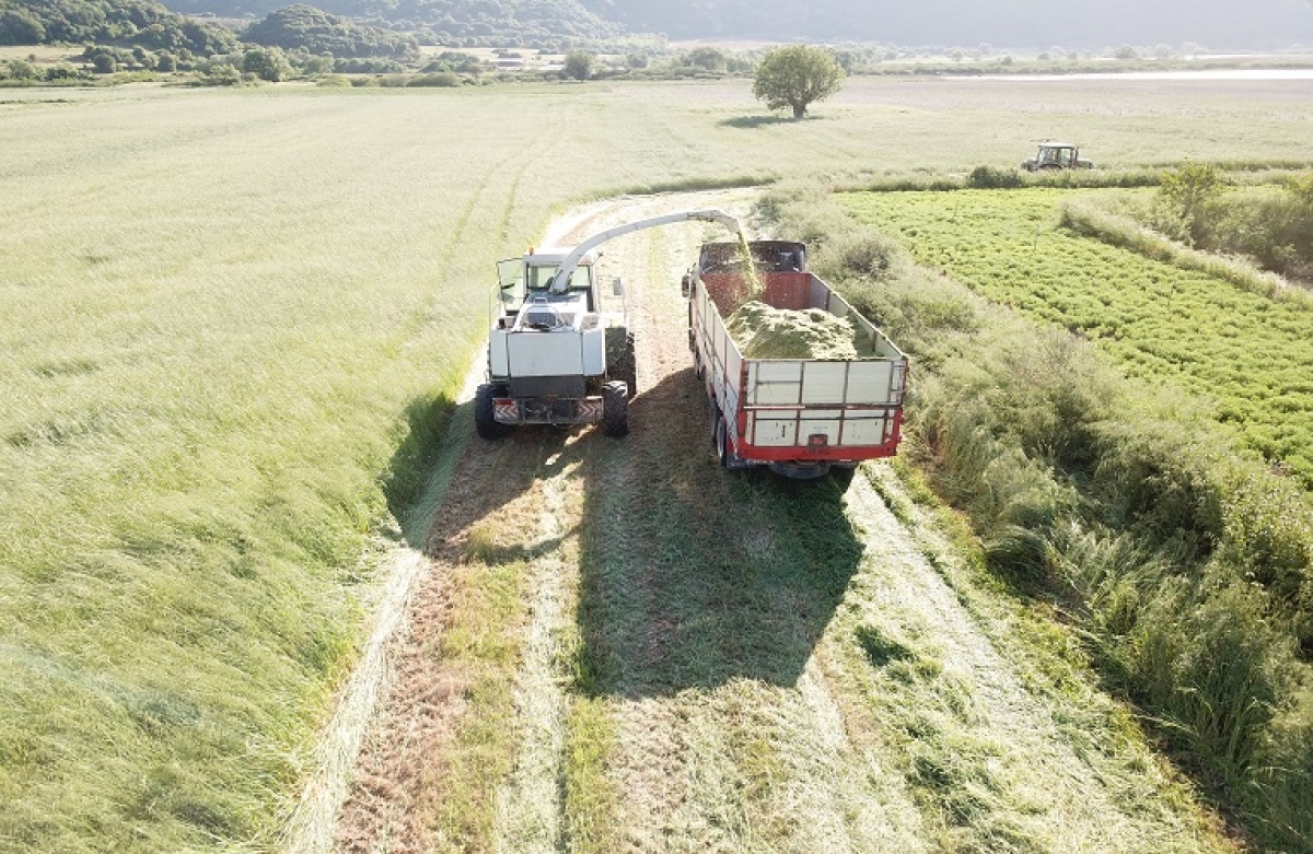 60 χρόνια Κοινής Γεωργικής Πολιτικής