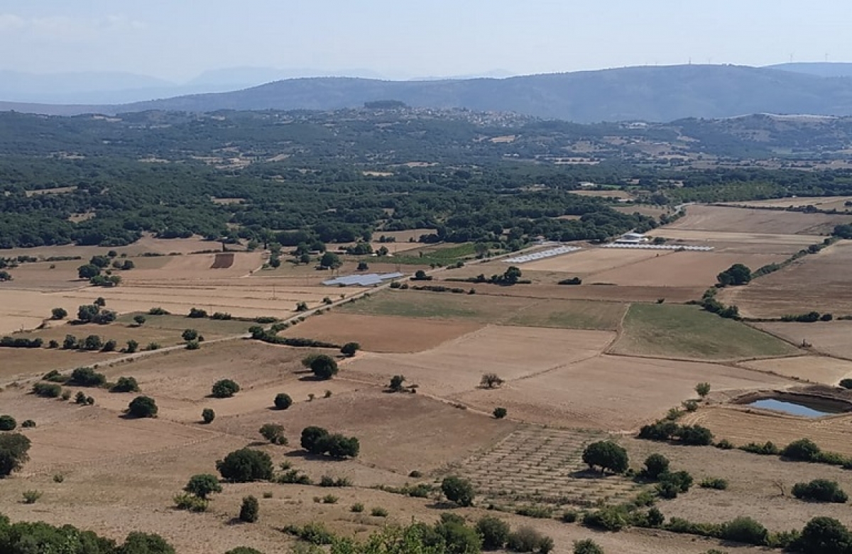 Στο Υπουργικό Συμβούλιο η νέα ΚΑΠ