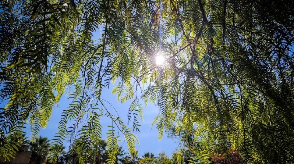 Καιρός: Υψηλές για την εποχή οι θερμοκρασίες σε όλη τη χώρα – Ανοιξιάτικο το σκηνικό