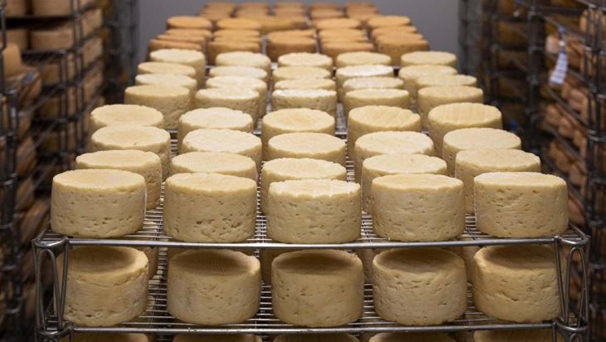 Ζητείται τυροκόμος σε περιοχή της Αιτωλοακαρνανίας – Πού θα στείλετε βιογραφικό