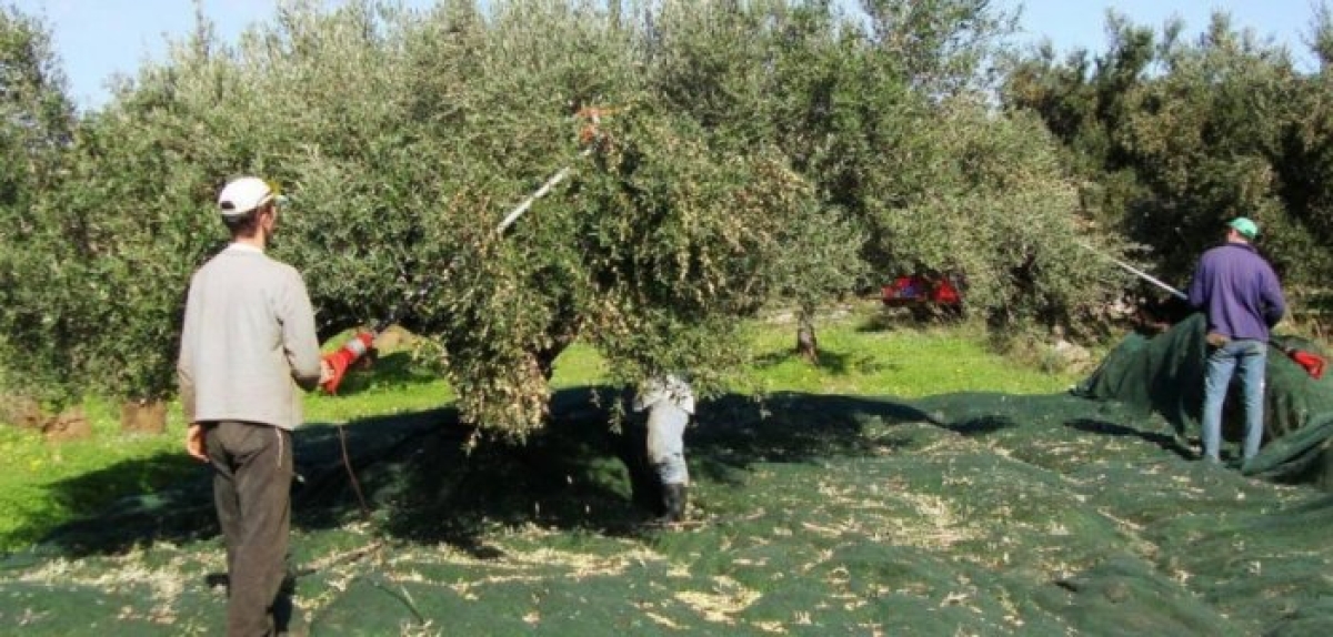 Αιτωλοακαρνανία: Χωρίς χέρια η γη