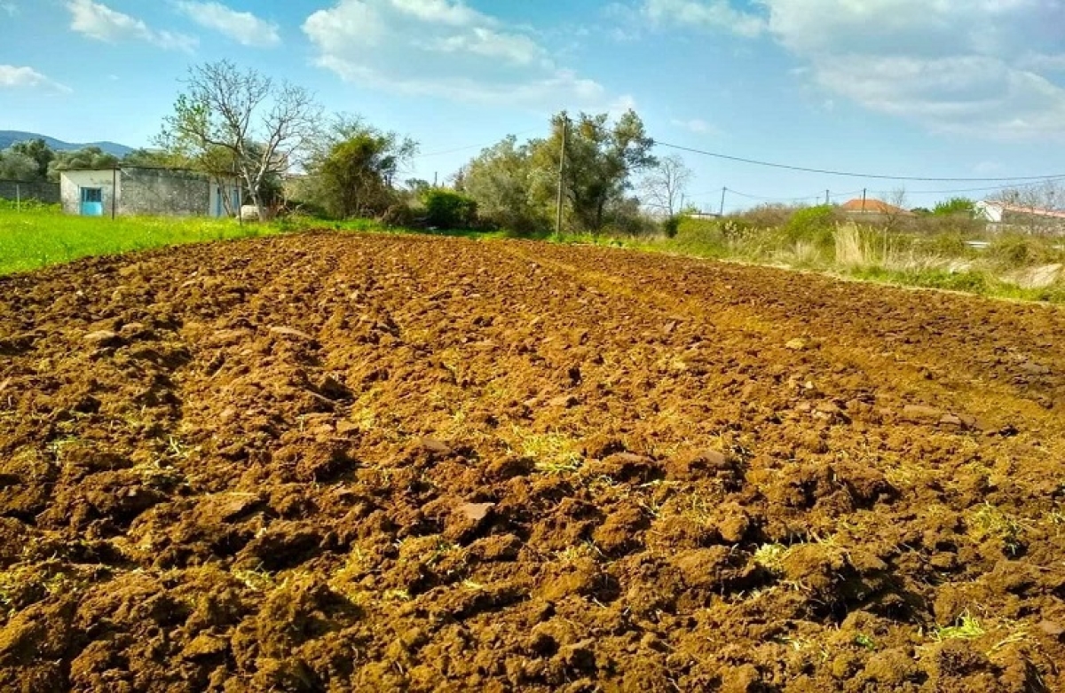 Αλλαγές στις Άμεσες Ενισχύσεις - Τι ισχύει για την αγρανάπαυση