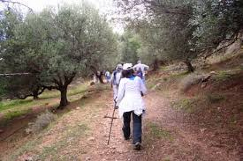 Δήμος Ναυπακτίας και ΕΟΣ Ναυπάκτου τίμησαν την Παγκόσμια Ημέρα Περιβάλλοντος